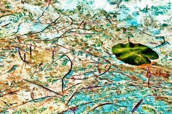 N 050C